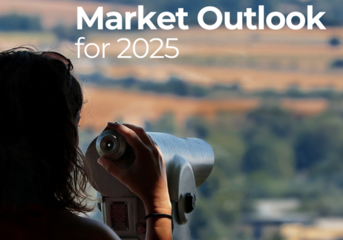 Market Outlook for 2025